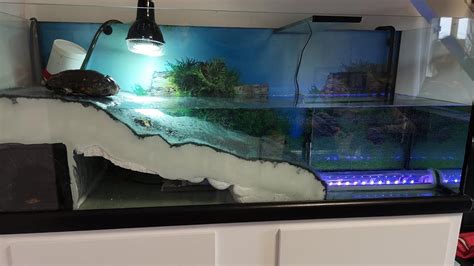 Aquarium Pour Tortue Partie 2 L Aquaterrarium YouTube