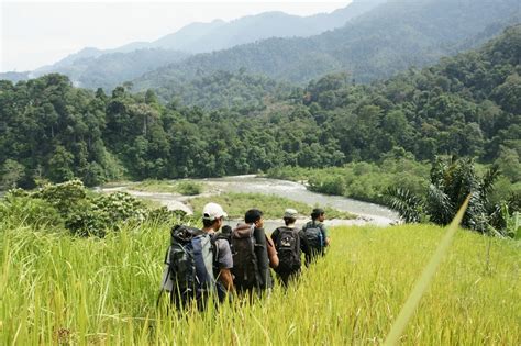 Letak Taman Nasional Gunung Leuser Homecare