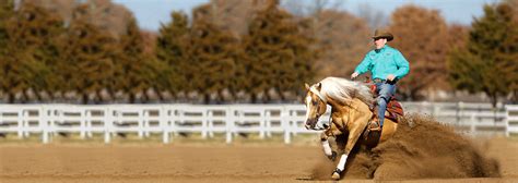 Reining Horse | Health and Nutrition