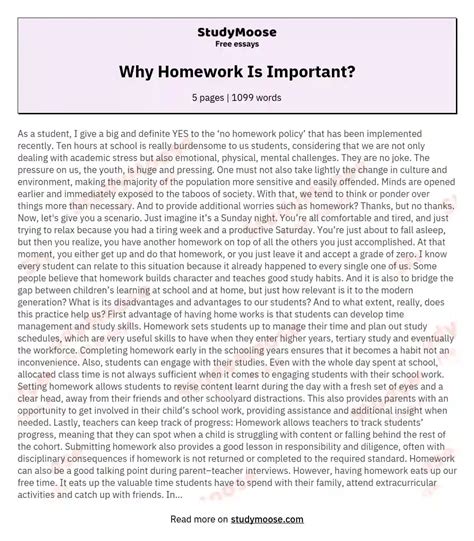 Why Homework Is Important Free Essay Example