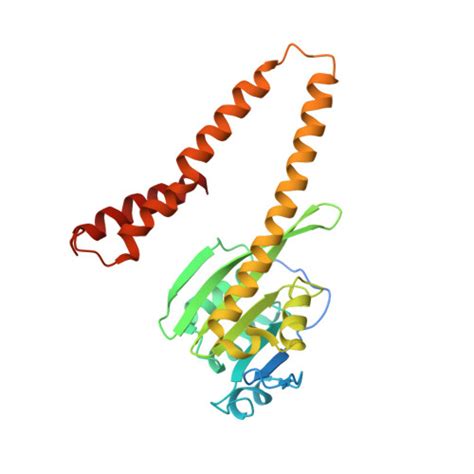 Rcsb Pdb Hn Crystal Structure Of A Cora Soluble Domain From A