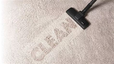 Domestic Carpet Cleaning Services Ace Cleaners