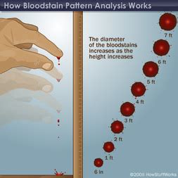 Blood SpatterTypes and angles - BLOOD SPATTER