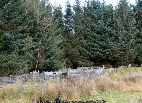 Sheep Pens Ada Hill Jim Barton Cc By Sa 2 0 Geograph Britain And