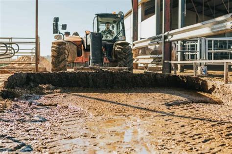 Sustainable Manure Management And Composting