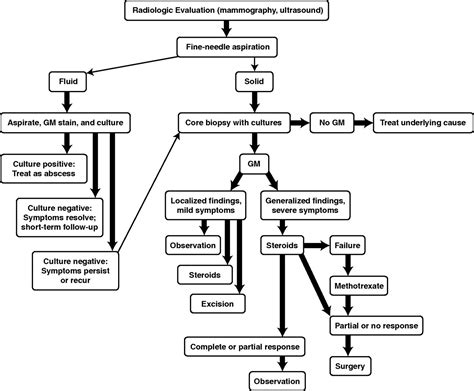 Granulomatous Lobular Mastitis Imaging Diagnosis And Treatment Ajr