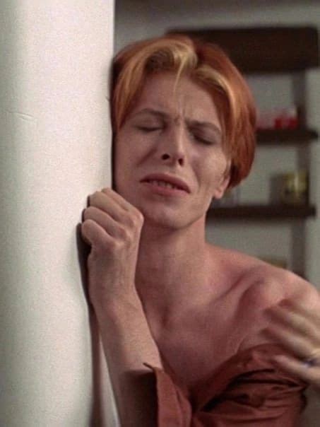 Pin De Rosemary Bandura Em BIG On Bowie