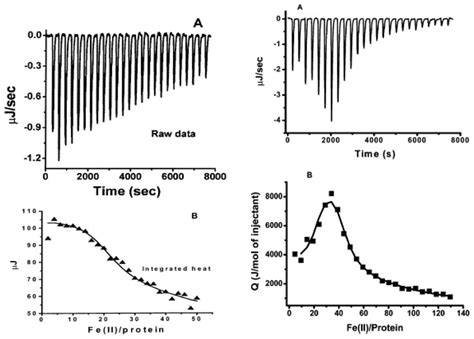 Representative ITC Binding Isotherms And Best Fits For Fe 2 Binding To