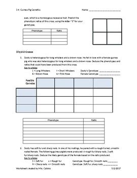 Mono Dihybrid And Sex Linked Worksheet By Bio Is Life TPT
