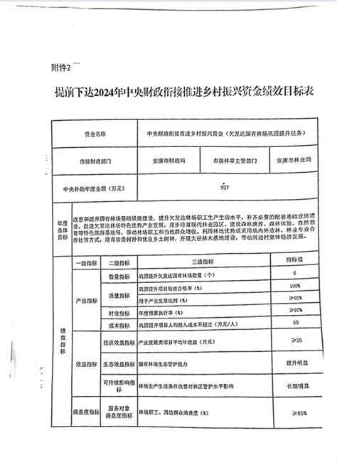 关于收到上级下达2024年中央财政衔接推进乡村振兴补助资金（欠发达国有林场巩固提升任务）的公告 旬阳市人民政府