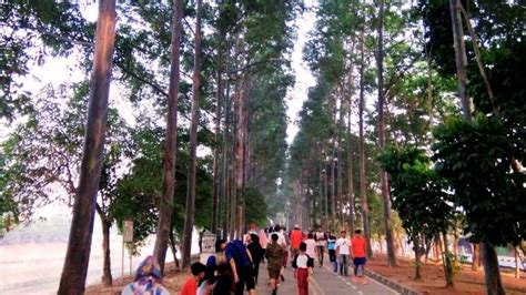 Tempat Jogging Di Jakarta Untuk Olahraga Outdoor Ob Fit