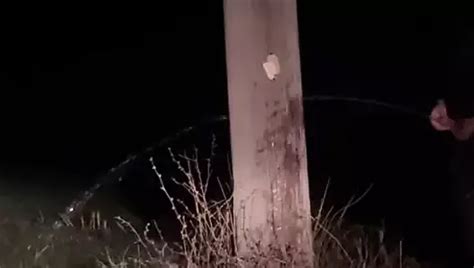 Demon Porn Videos Gay XXX 2024 XHamster