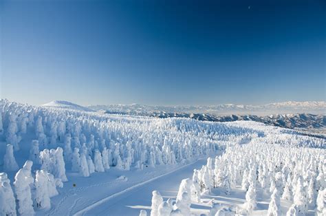 Yamagata Winter Road Mountain White Zao Snow Onsen 1080P Trees