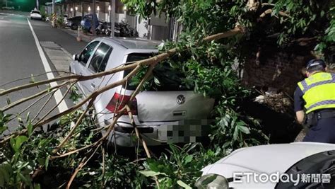 卡努強風發威！宜蘭路樹「腰折」 2自小客遭砸損 Ettoday社會新聞 Ettoday新聞雲