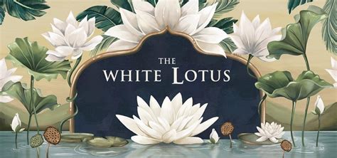 Mergulhe No Mundo Dos Ricos Em The White Lotus Premiada Como Melhor Minissérie Pelo Globo De