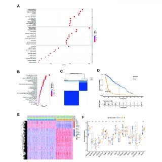 Identification Of The Gene Subtypes A B KEGG And GO Enrichment