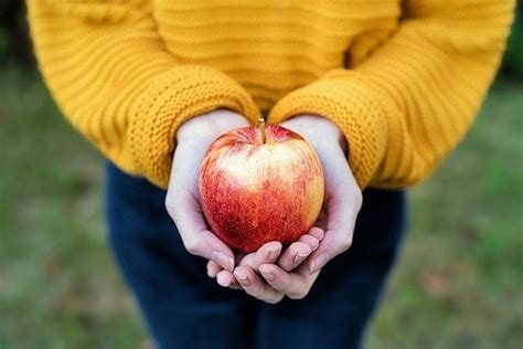 Rituale Di Mabon Cosa Serve Esoterya