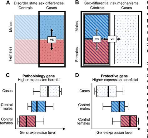 Figure From Neural Transcriptomic Analysis Of Sex Differences In Autism Spectrum Disorder