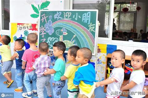 夷陵區新建、改擴建6所中小學和幼兒園 每日頭條