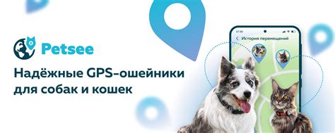 Petsee - ошейники с GPS для собак и кошек | С нами вы всегда будете ...