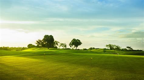 Wallpaper Golf course, green grass, trees 2560x1600 Picture, Image