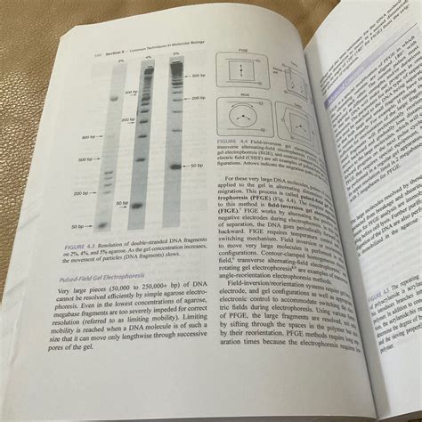 Buckingham Molecular Diagnostics Fundamentals Methods And Clinical Applications 3rd Edition