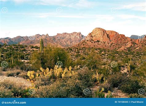 Sonora Desert Arizona Royalty-Free Stock Photography | CartoonDealer ...