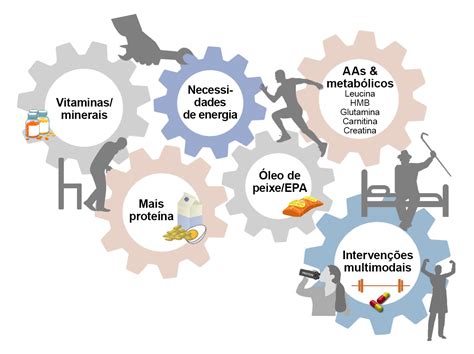 Perda De Massa Muscular Durante O Tratamento Oncol Gico