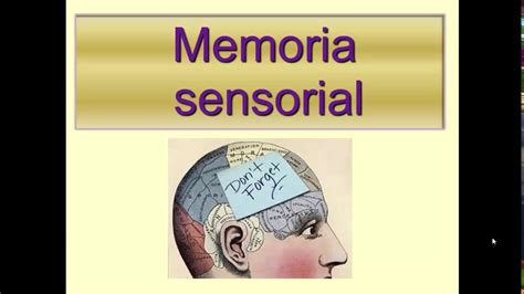 Memoria Sensorial Youtube