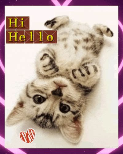 A Cute Hello Ecard For You Free Hi Hello Ecards Greeting Cards 123