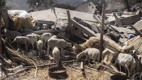 Ce qu il faut savoir sur le séisme au Maroc et les efforts pour aider