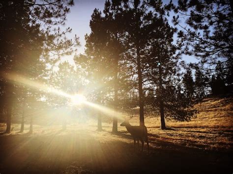 Why You Should Visit Lake Tahoe in September | Lake Tahoe