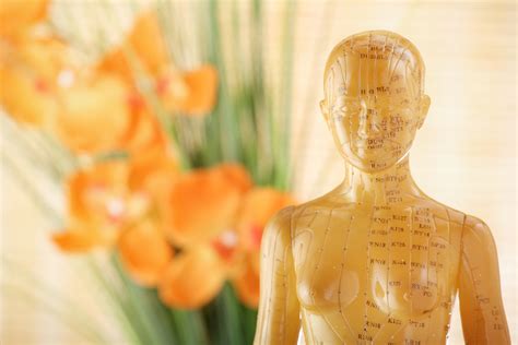 Acupuncture An Ancient Remedy For Modern Times Conscious Life Journal