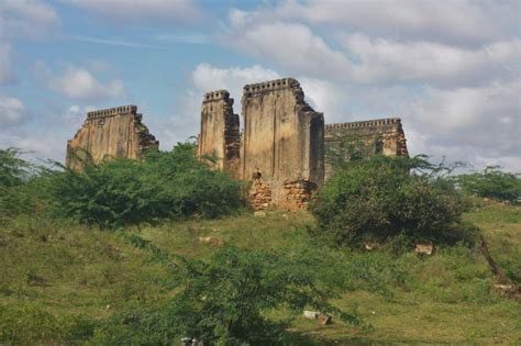 Daily Photo Sira Fort Ruins Kasturi Rangappa Nayaka Fort Tiger