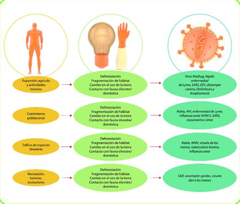 Algunos Factores Humanos Asociados O Relacionados Con La Emergencia O Download Scientific