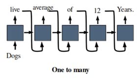 Recurrent Neural Network How To Implement A One To Many RNN In FluxML