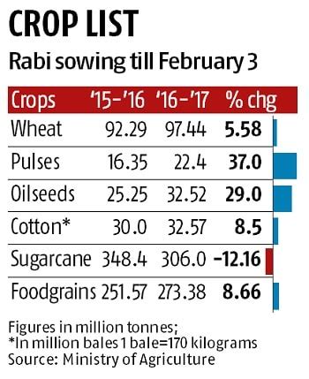 India Set For Record Foodgrain Output Economy Policy News