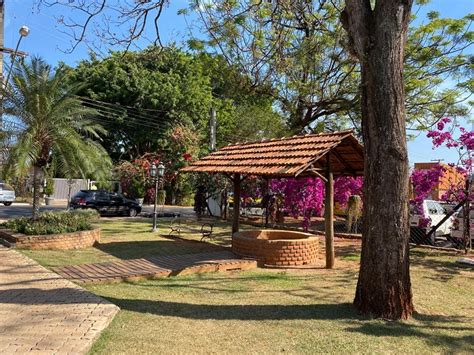 Passeio Pelos Campos De Flores Em Holambra Saiba Como Funciona