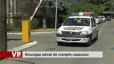 Sinucigaș salvat de crengile copacului YouTube