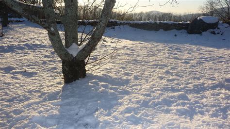 Activado En Euskadi Para El Lunes El Aviso Amarillo Por Nieve En Cotas