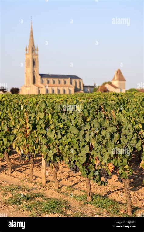 Pomerol France Hi Res Stock Photography And Images Alamy