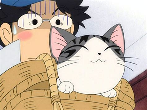 Chi une vie de chat Dessin animé 1 saison et 15 episodes Télé Star