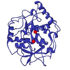 Enzymatic Browning - The Chemistry of Food