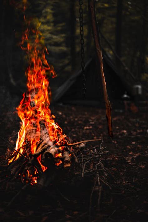 Bonfire at Camping · Free Stock Photo