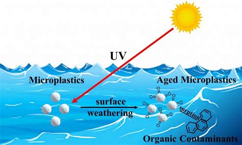 Microplastics Fran Ois Perreault