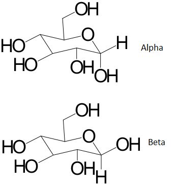 Beta Glucose Structure