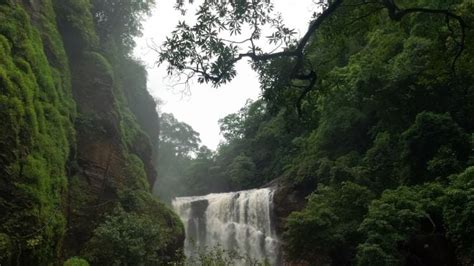 Sathodi Falls Dandeli What To Expect Timings Tips Trip Ideas