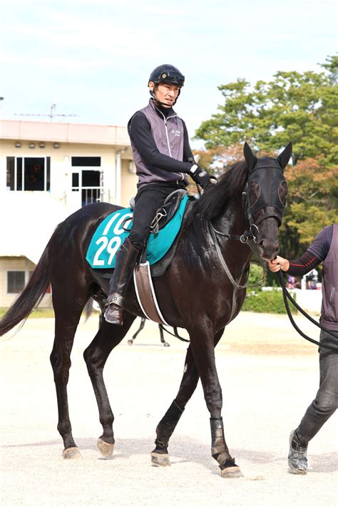 【注目馬動向】「ウマ娘」藤田晋オーナーのドーブネ ききょうsに参戦決定 Umatoku 馬トク