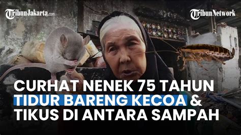 Kisah Nenek 75 Tahun Warga Koja Tidur Di Atas Tumpukan Sampah Bareng