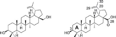 Chemical Structures Of Betulinic Acid And Betulin Numbering Of